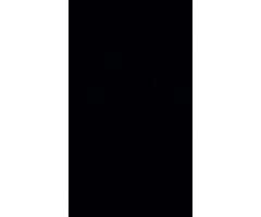 iPhone 4S